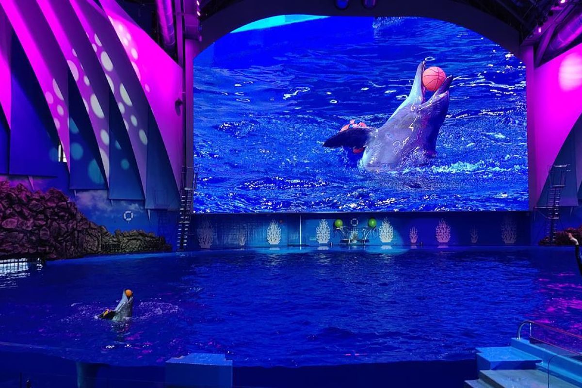 Лотосы и море – Приморье