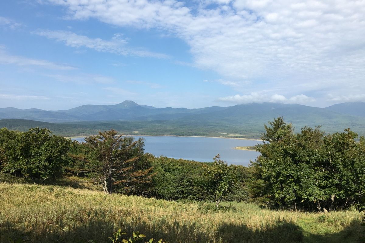 Сихотэ-Алинский заповедник: по следам амурского тигра!