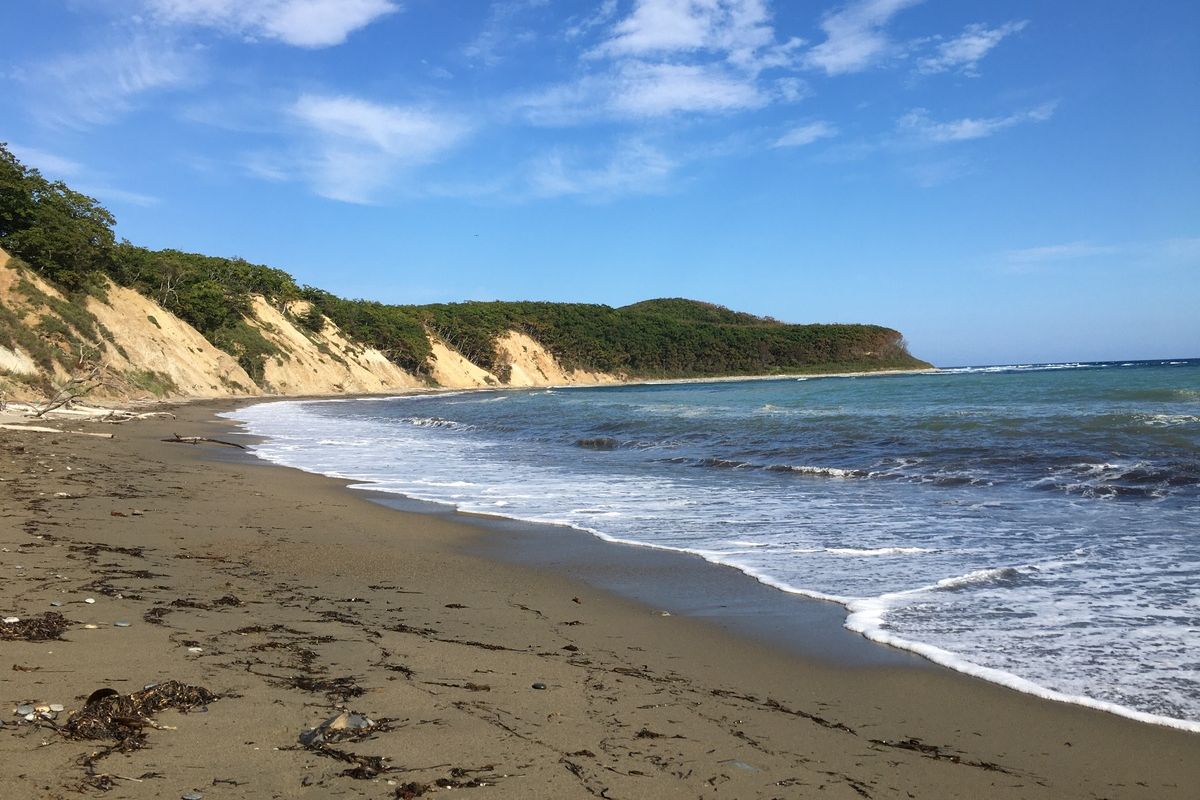 Сихотэ-Алинский заповедник: по следам амурского тигра!