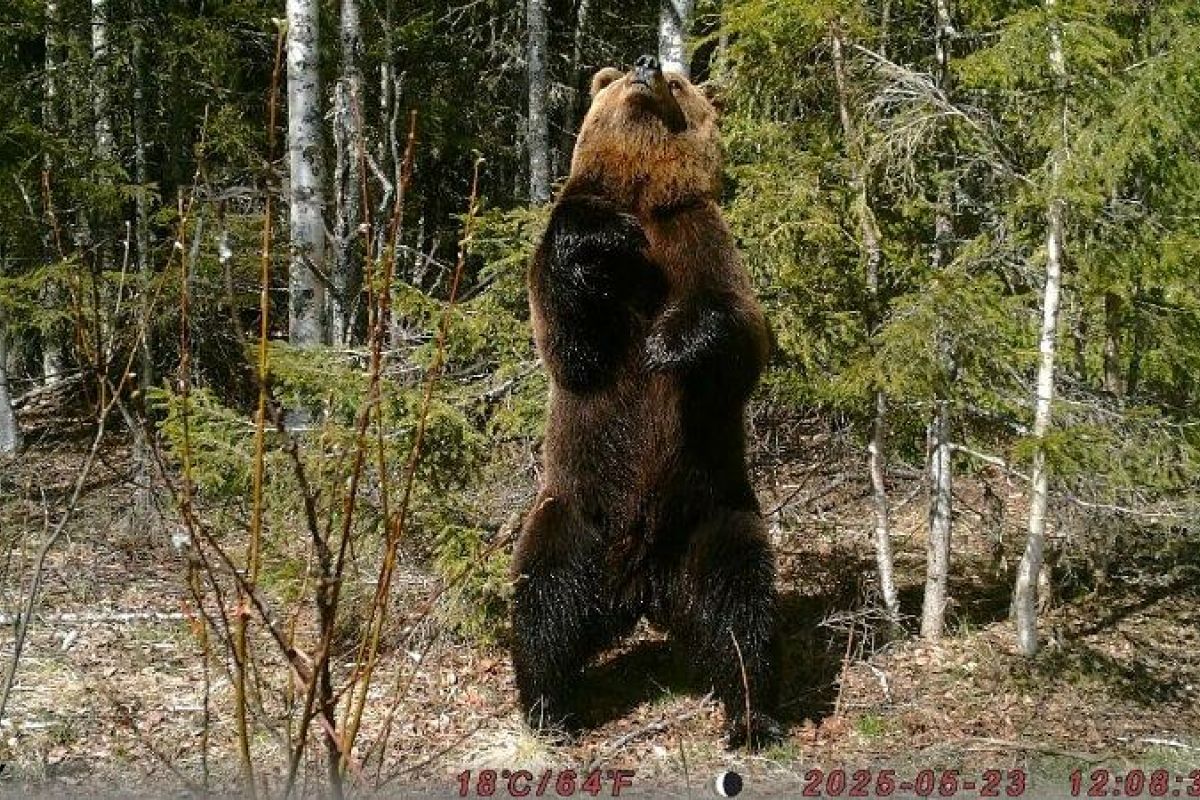 Научный круиз по онежскому поморью – путешествие с учёным