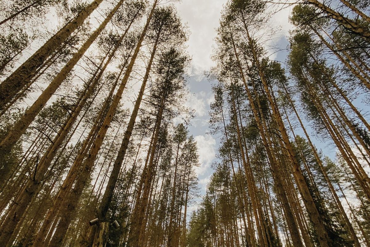 Три дня в Карелии. Лайт