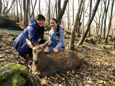 Приморский Сафари-парк и бухта «Стекляшка»