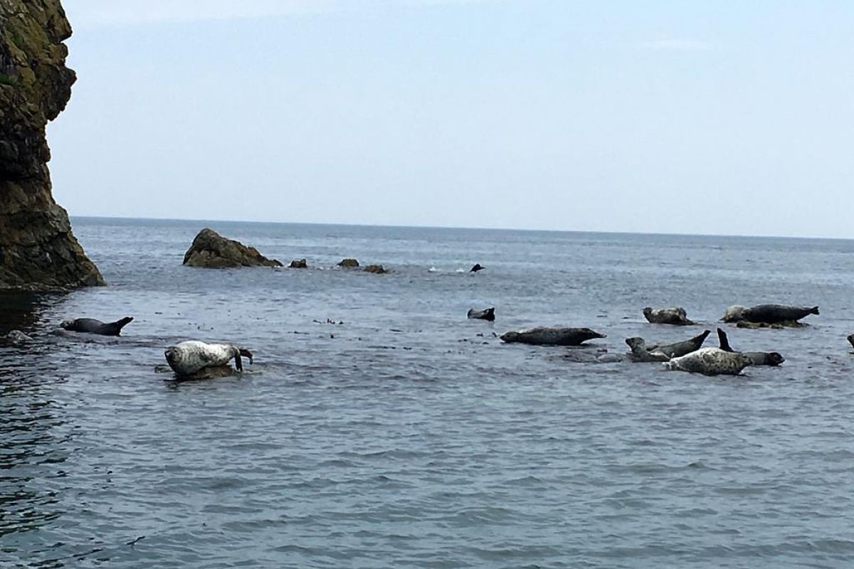 Отпуск в тельняшке (Приморье)