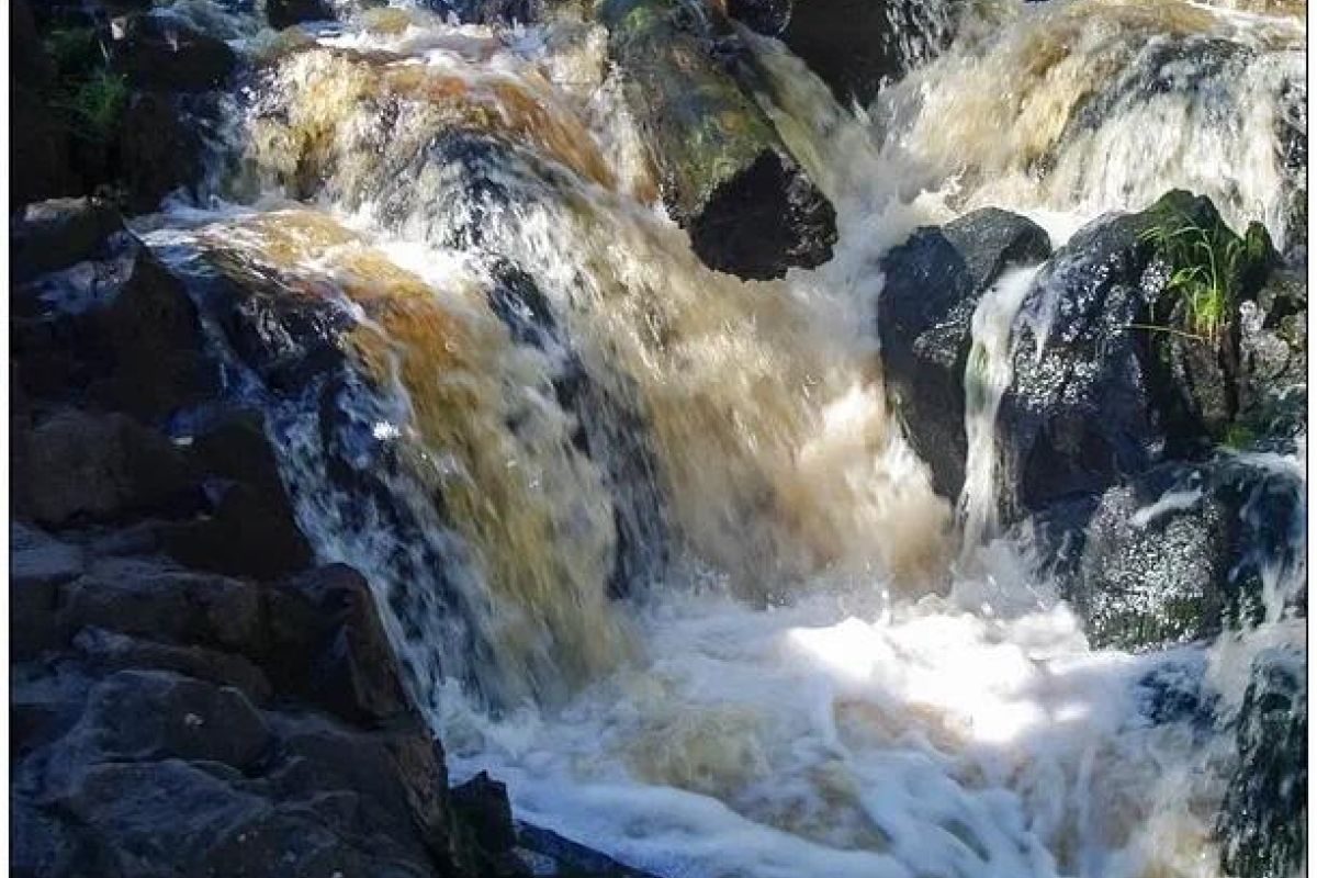Карельские денёчки в Петрозаводске