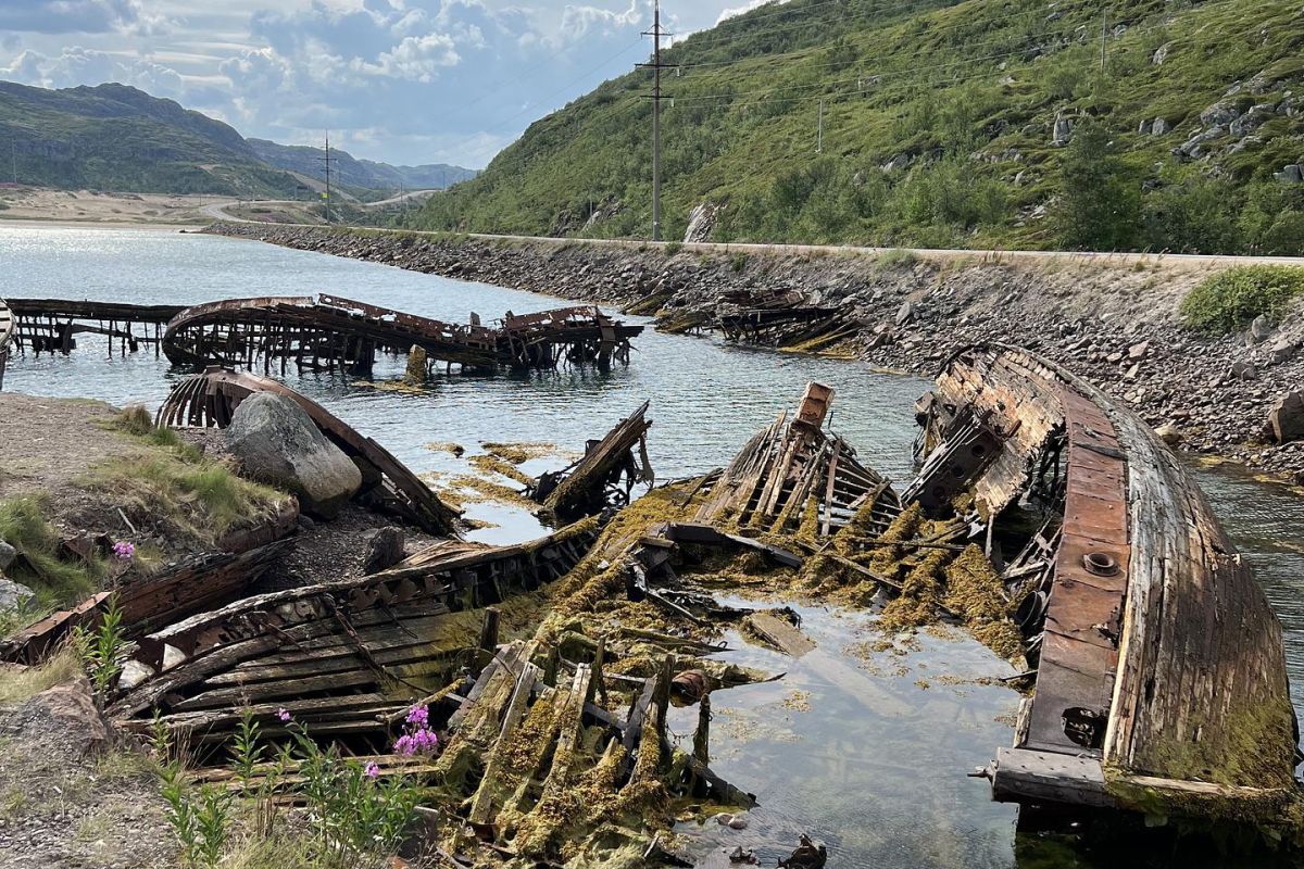 Край стихий: Киты. Океан. Горы. Водопады