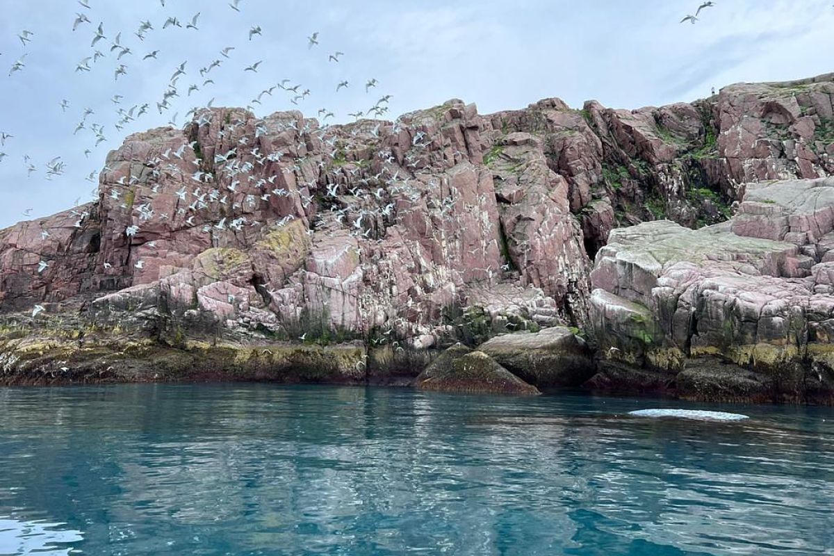 Красоты севера – летний Кольский