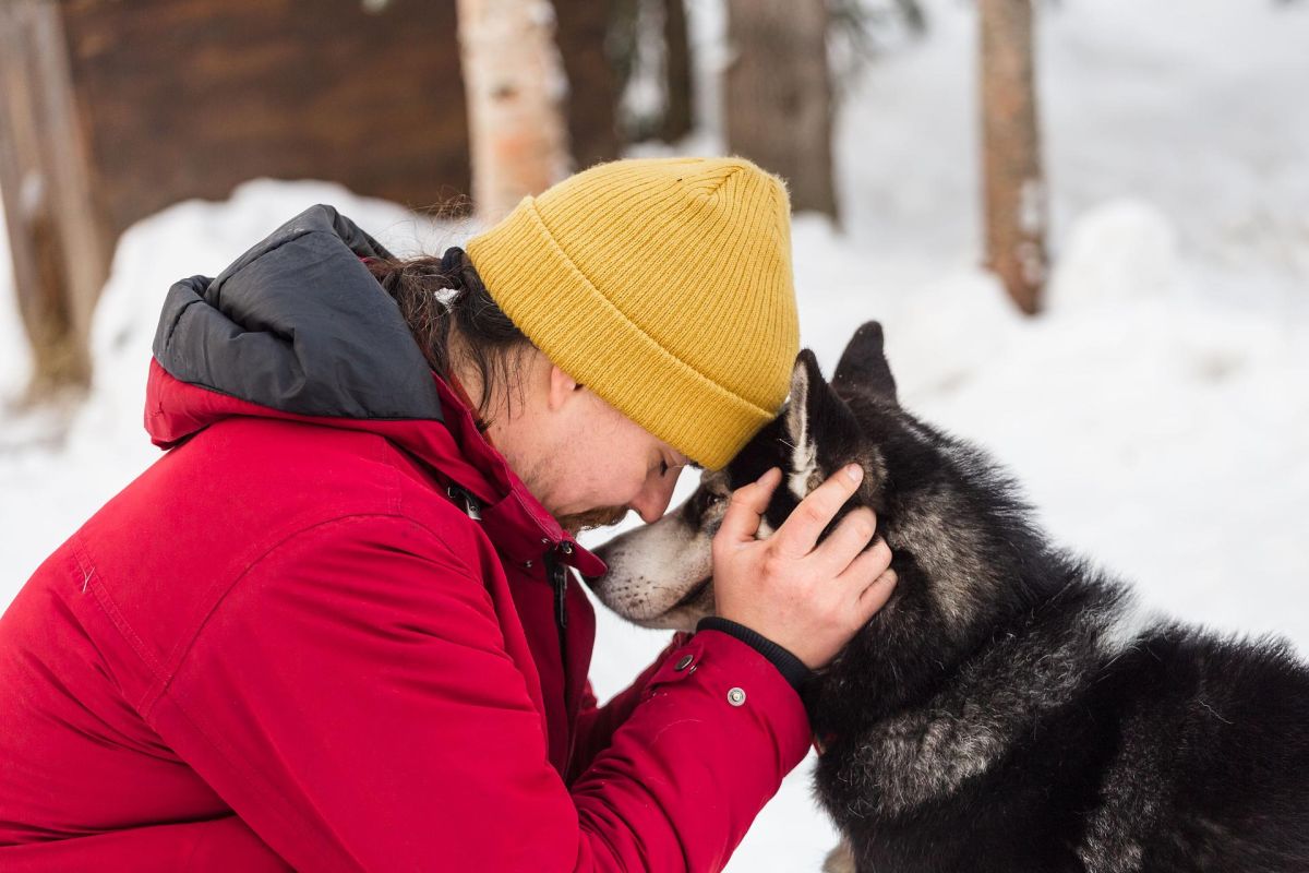 Кольский Викенд