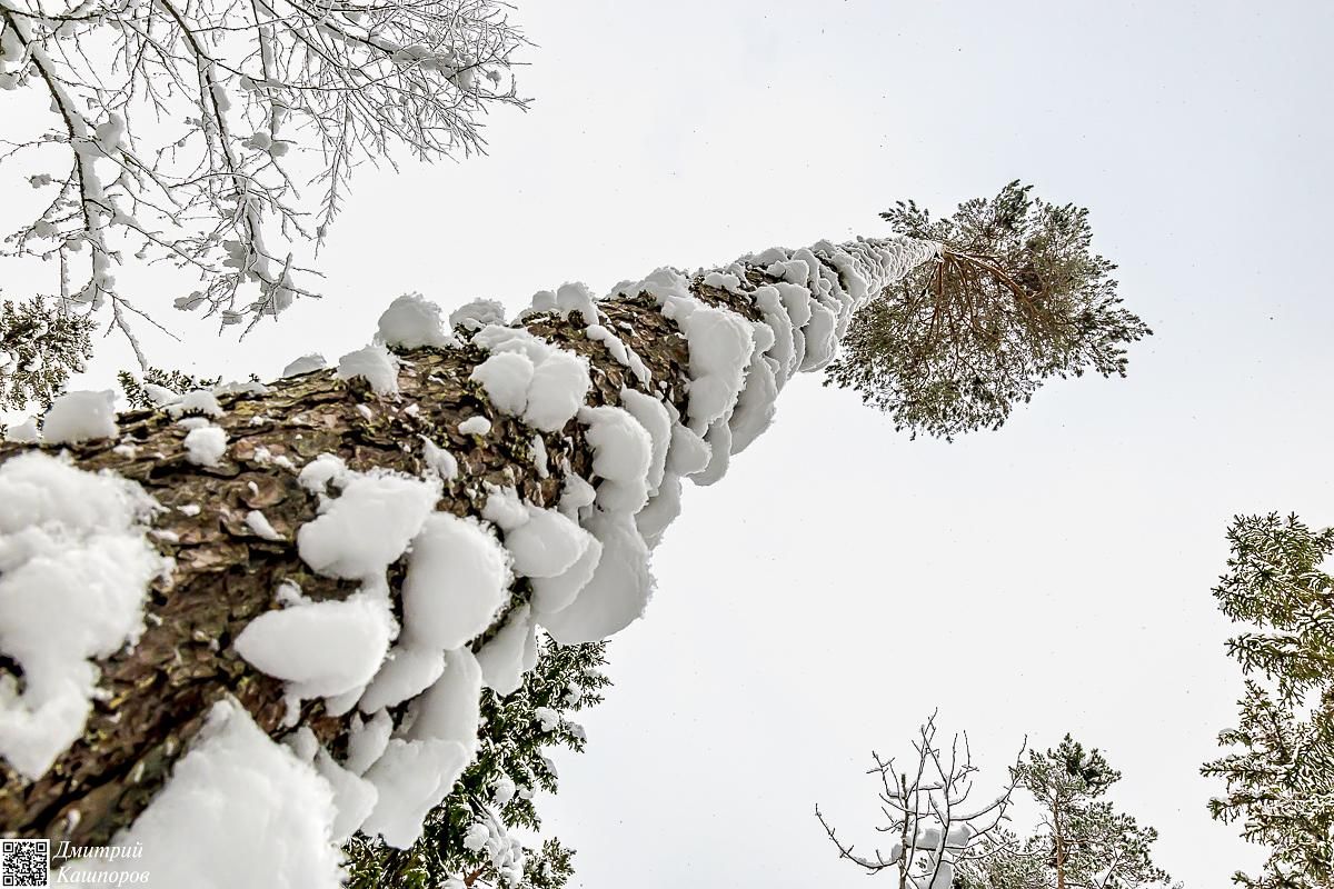 Времена года. Зимняя Карелия с фотографом