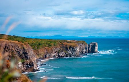 Камчатка за неделю