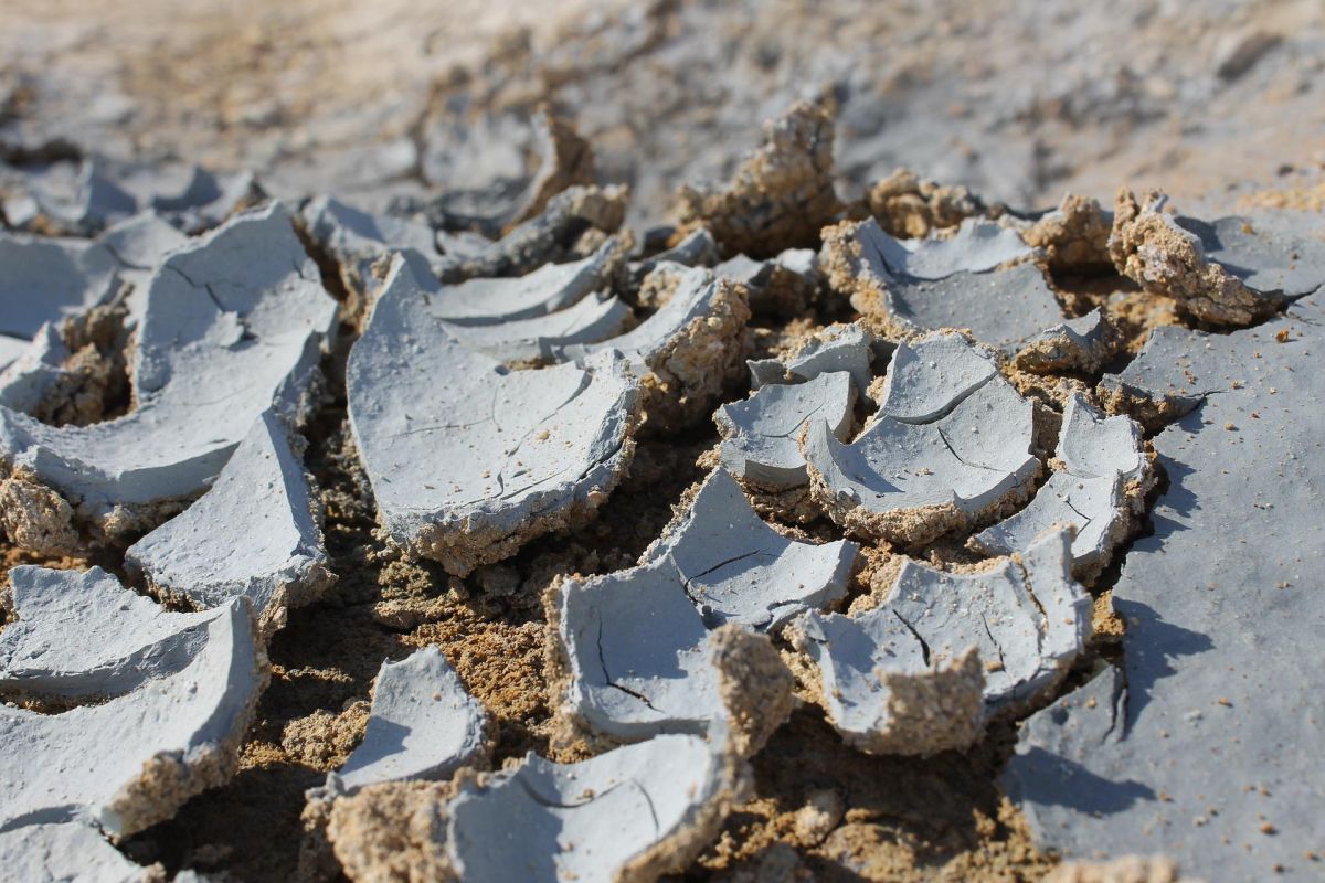 Дачные источники (Камчатка, экскурсия на вездеходе)