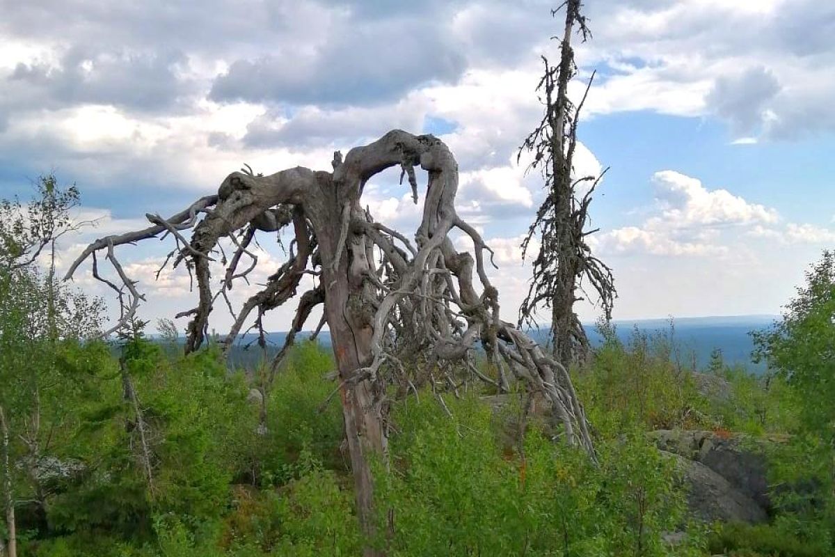 Экскурсия к мистической горе Воттоваара
