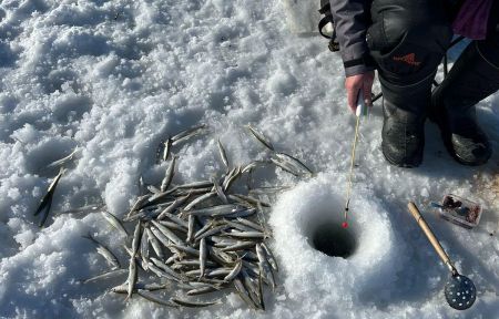 Подлёдная рыбалка на Сахалине