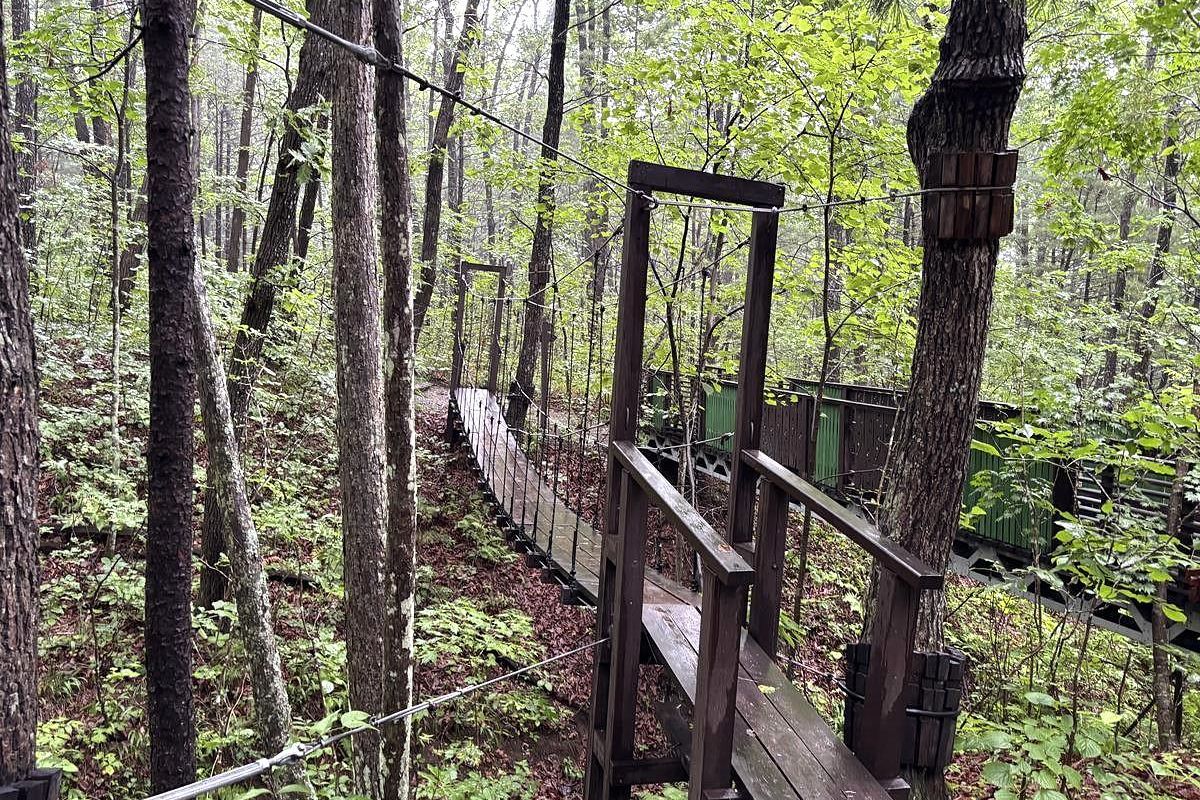 Земля леопарда + Японское море