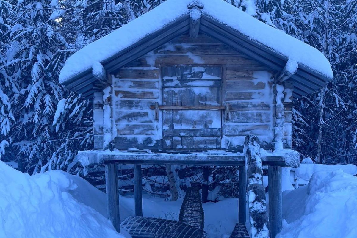 Арктическая амазонка (из Екатеринбурга)