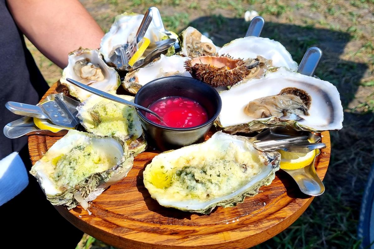 Два острова: Сахалин и Итуруп