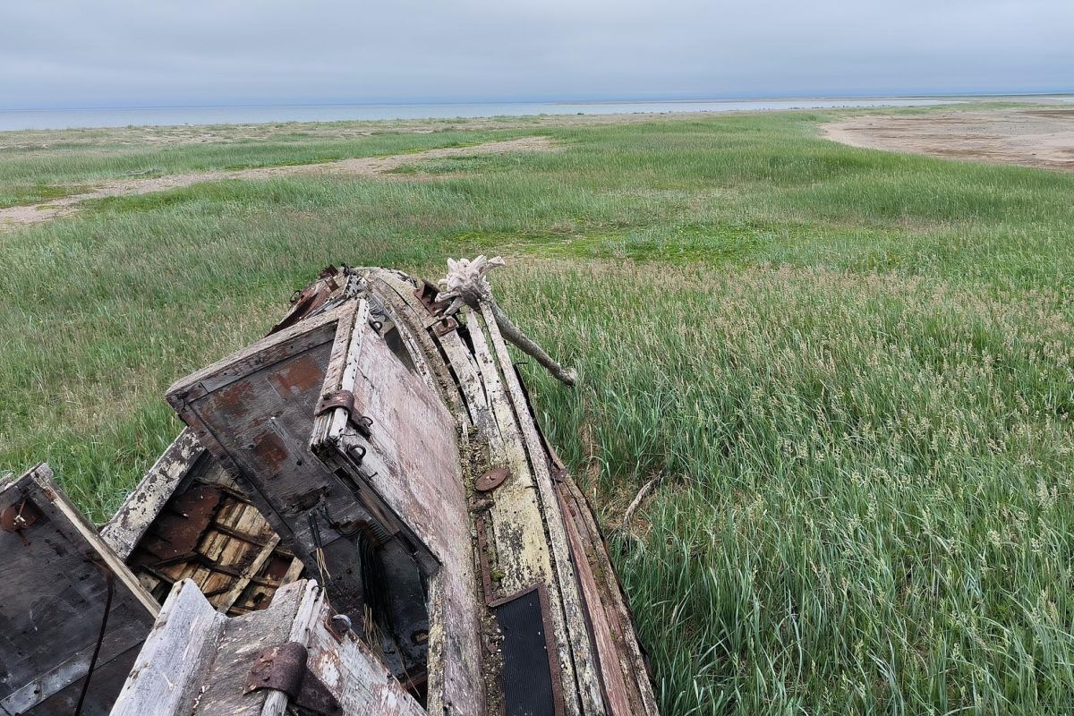 Бросок к последнему морю (Чукотка, коса Русская Кошка)