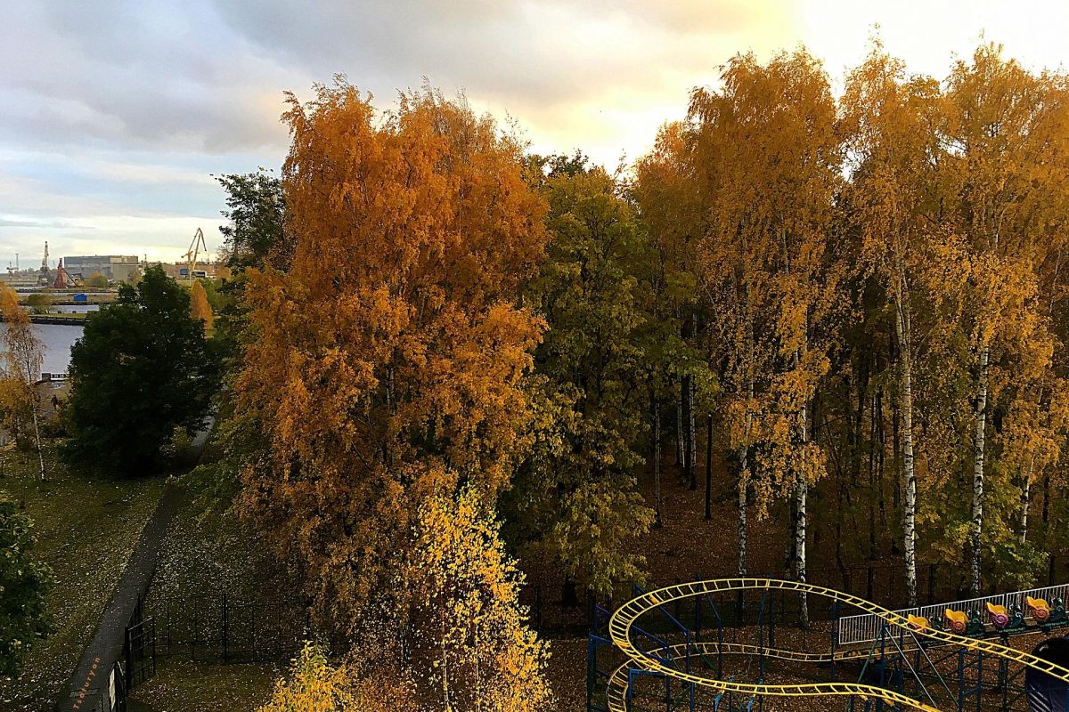 Карельские денёчки в Петрозаводске