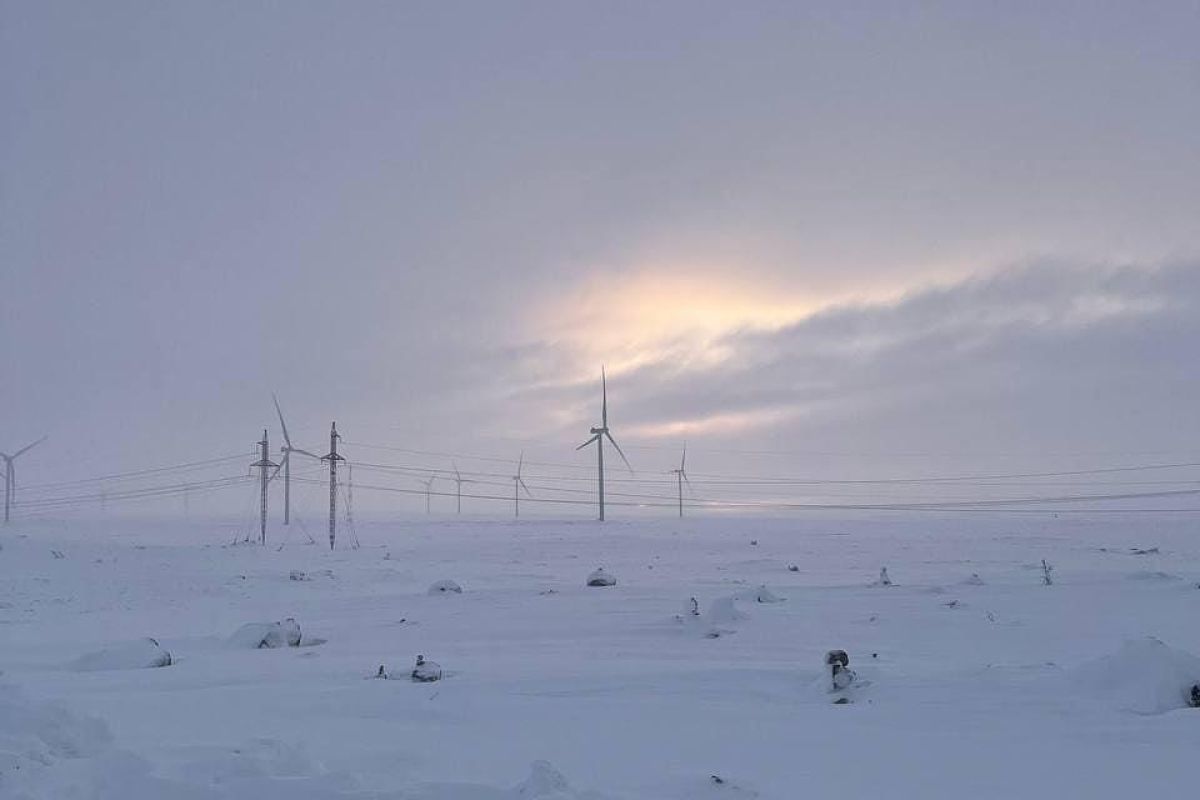 Териберка с пешей прогулкой (зима)