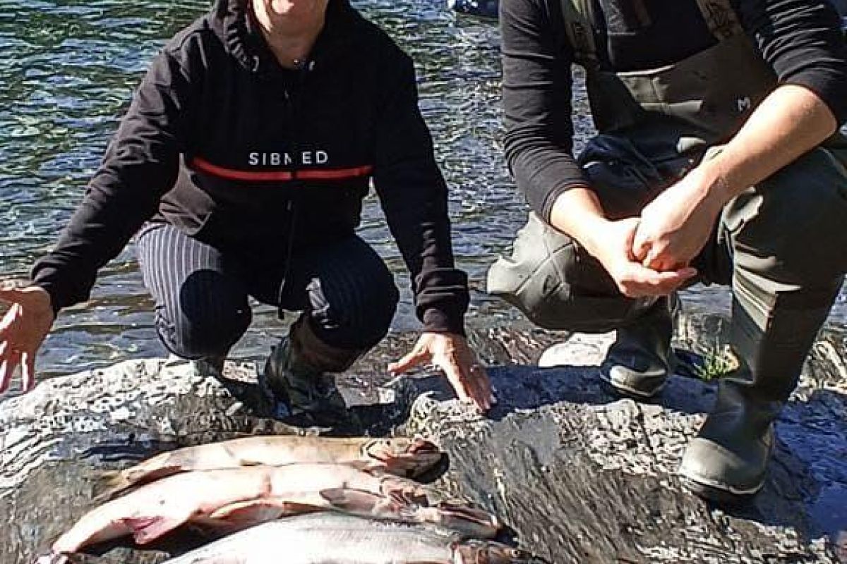 Река Быстрая (Малкинская), сплав 1 день