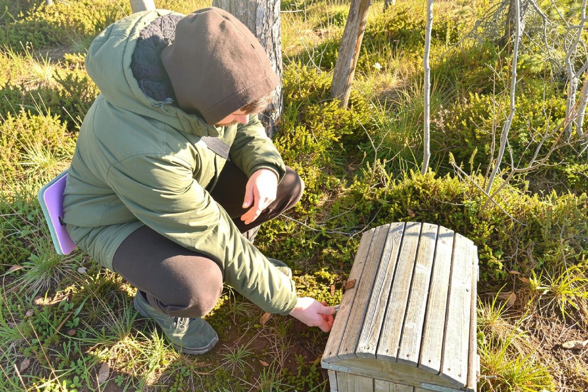Квест-экскурсия "Дремучий лес"