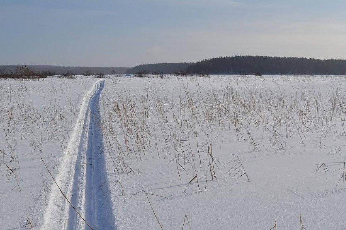 Лыжный тур по Карелии (Спасская Губа, 4 дня)