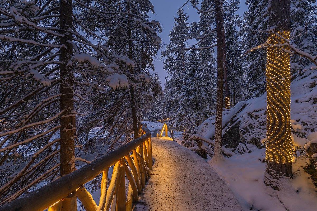 Времена года. Зимняя Карелия с фотографом