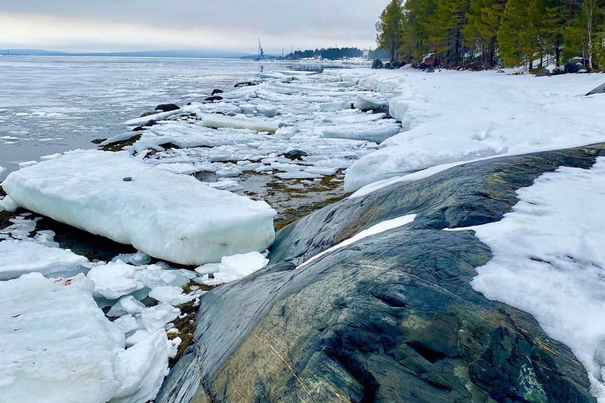 Снежный май на Кольском