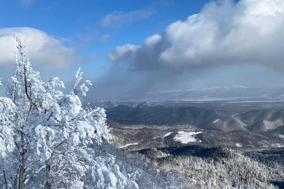 Прогулка на снегоходах «Мицульский хребет» (Сахалин)