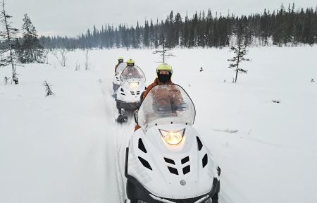 Сафари на квадроциклах (Лапландская деревня, 2 часа)