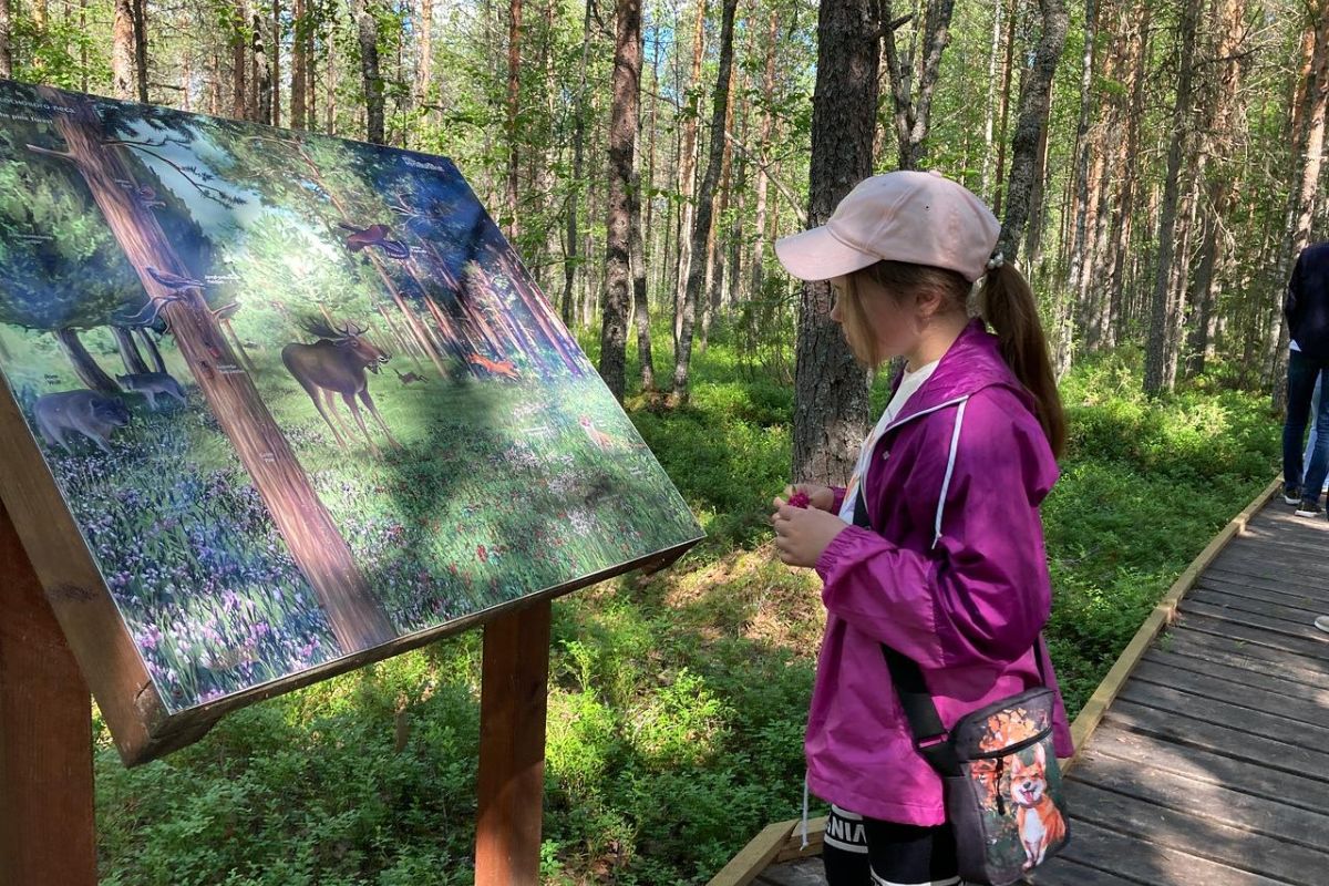 Экскурсия «Вкусные секреты Севера: от калитки до козули»