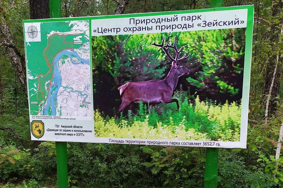 Центр охраны природы «Зейский» – Благовещенск