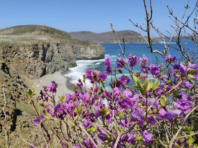 Дыхание весны в Приморье