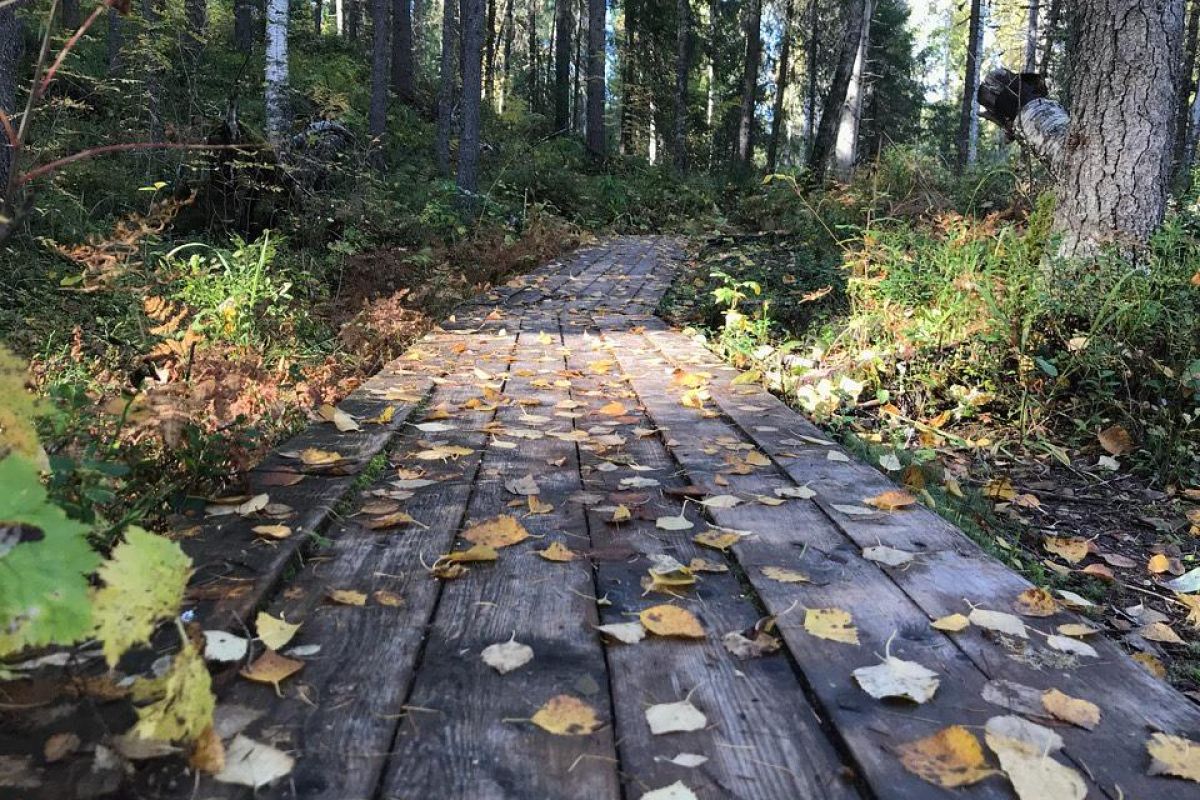 Красоты Пинежья