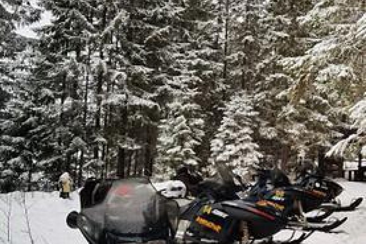 Снегоходный вираж в Карелии (экскурсия)