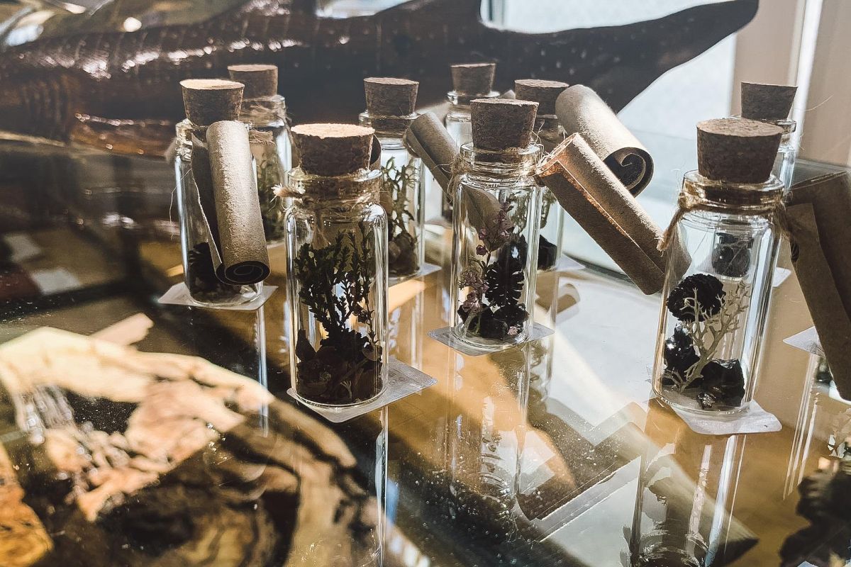 Вдохновение Карелии: тур-перезагрузка