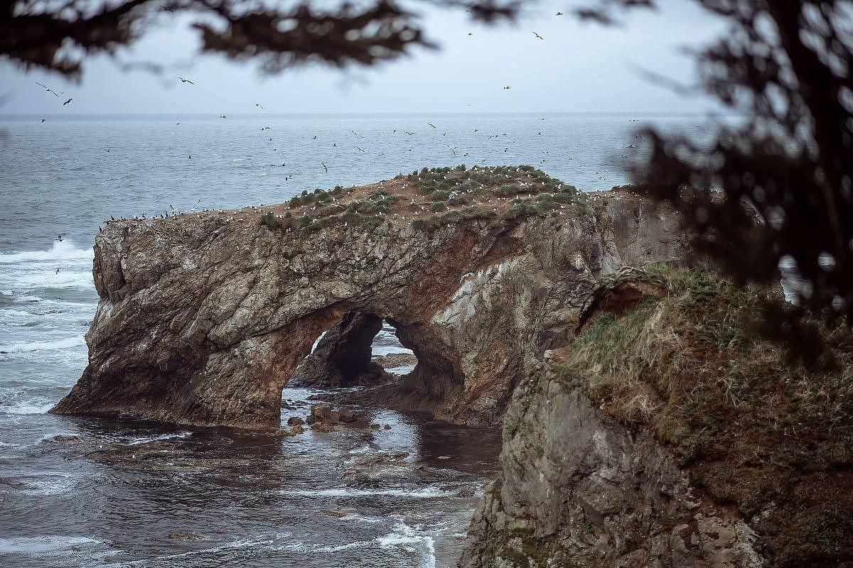 Мыс Великан. Мыс Птичий (Сахалин)