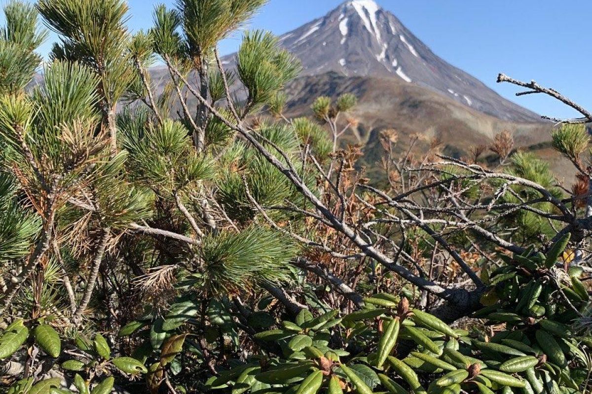 В гостях у Кутха (экскурсионный тур без палаток)