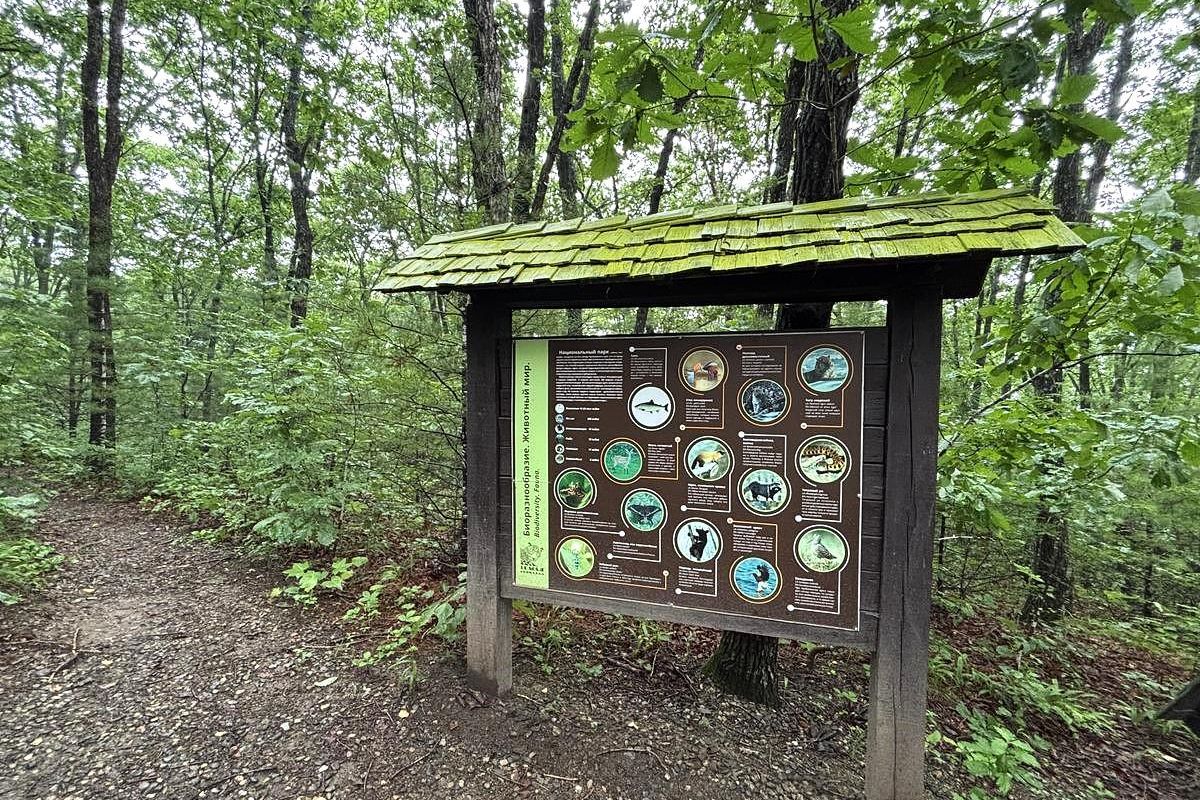 Земля леопарда + Японское море