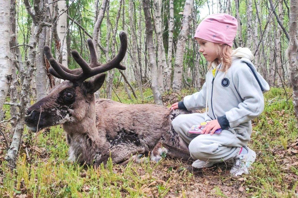 По волнам Арктики (4 дня на Кольском)