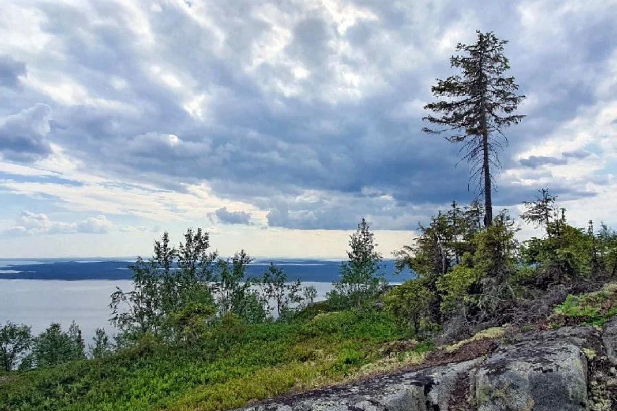 Арктические Каникулы 2026