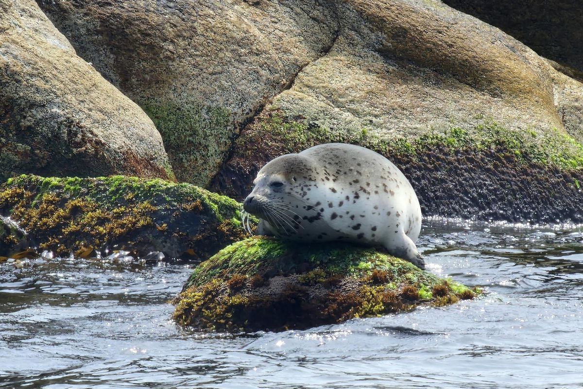 Симфония островов и горизонтов