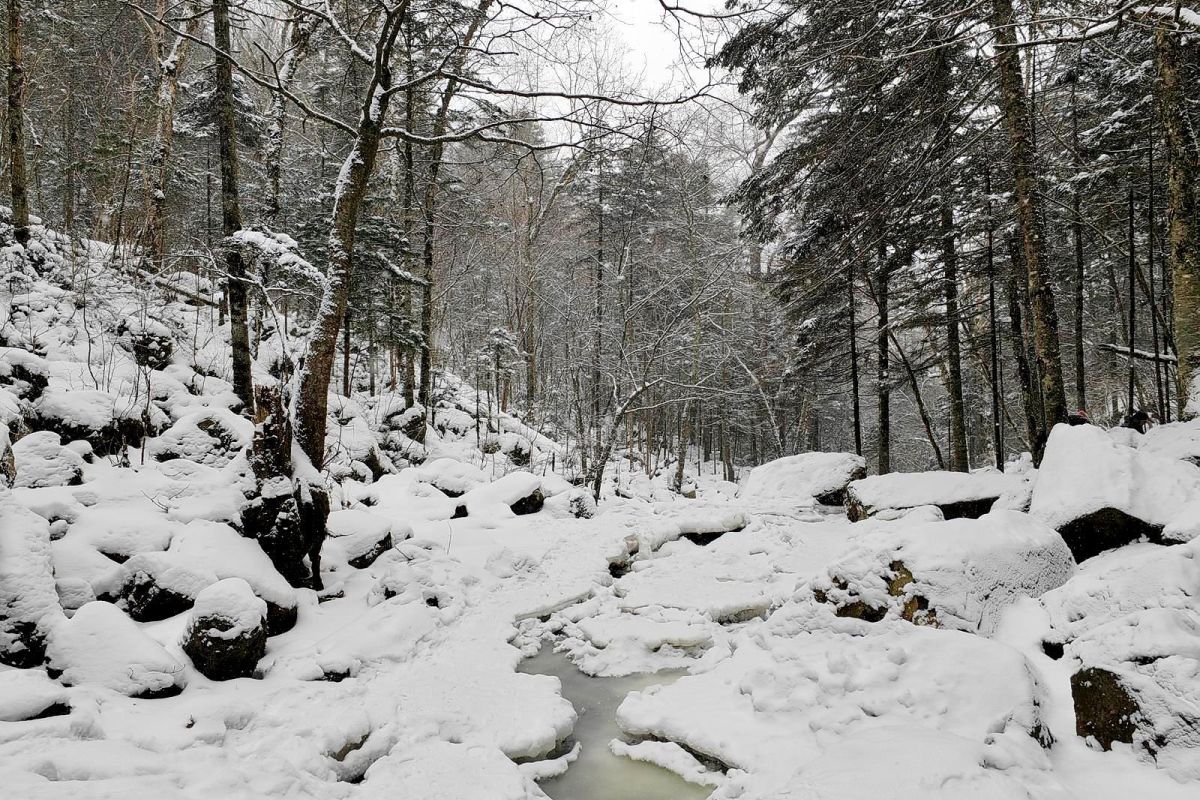 Водопад Горбатый