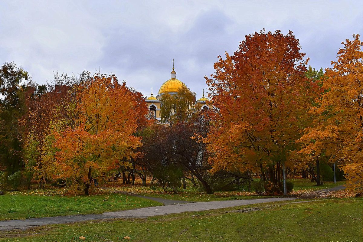 Карельские денёчки в Петрозаводске