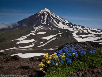 Камчатка. Июньская мозаика 2026