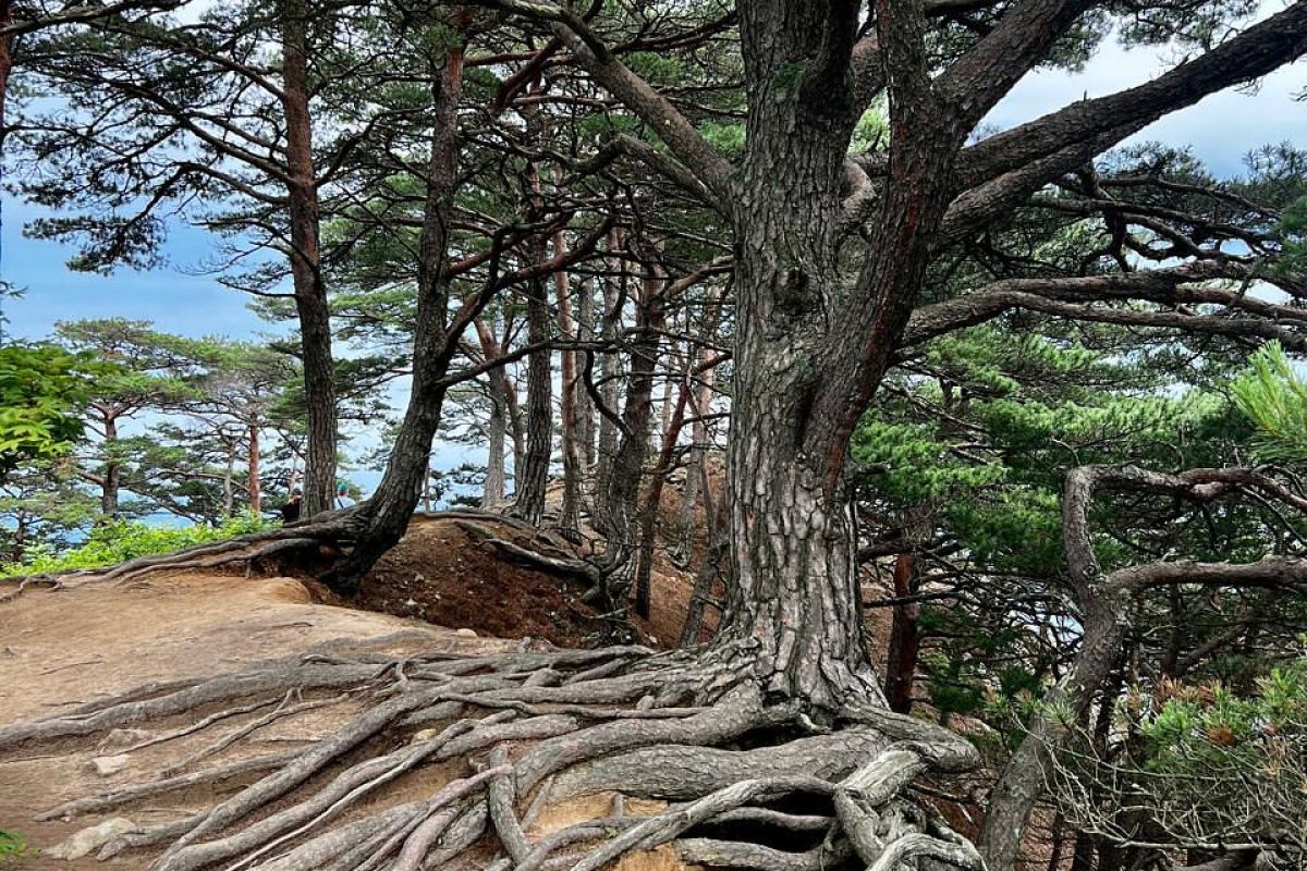 Симфония островов и горизонтов