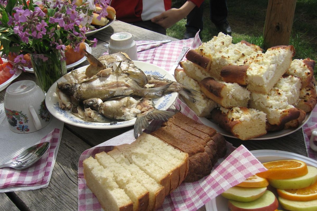 Весенний тур «Кенозерские пикники»