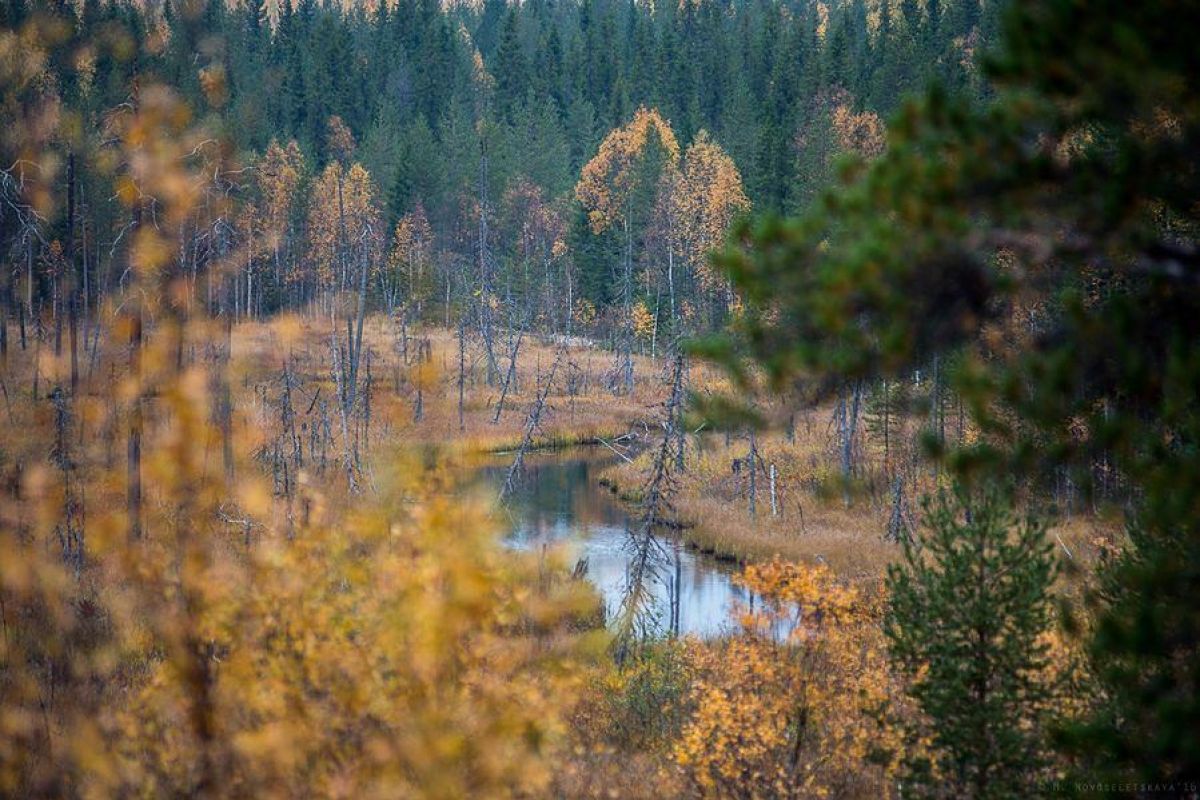 Джип-тур по Карелии. Загадочная гора Воттоваара
