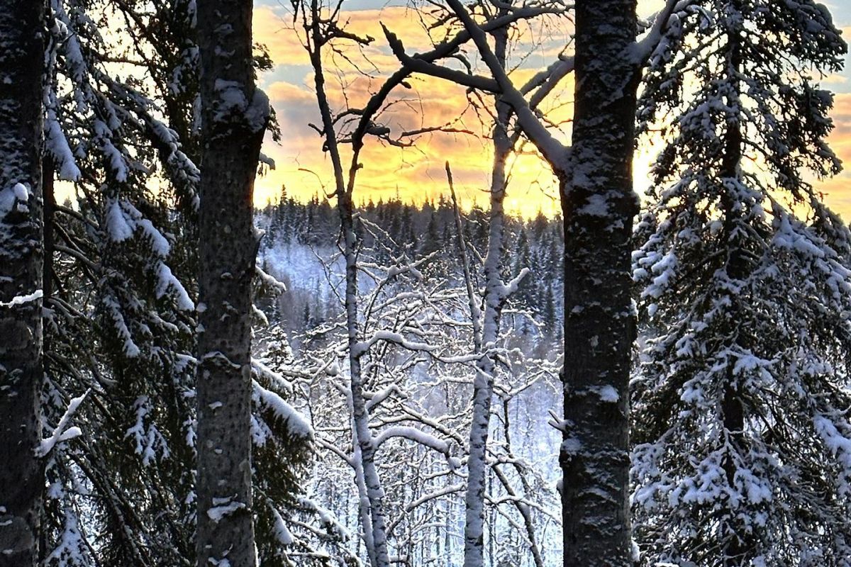 Урочище Куртяево - таинственность и недосказанность мифов и легенд