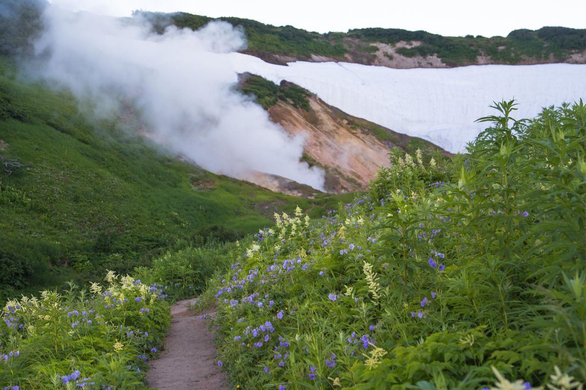 Джип-тур в Долину Не Гейзеров (Дачные источники) в Июне