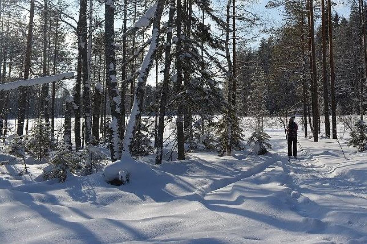 Лыжный тур в карельском Приладожье (3 дня)